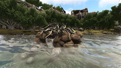 Beaver dams on single player?? Been to three different beaver dam locations on the Island of Ark Mobile, beavers galore but zero dams?. . Beaver dams ark the island